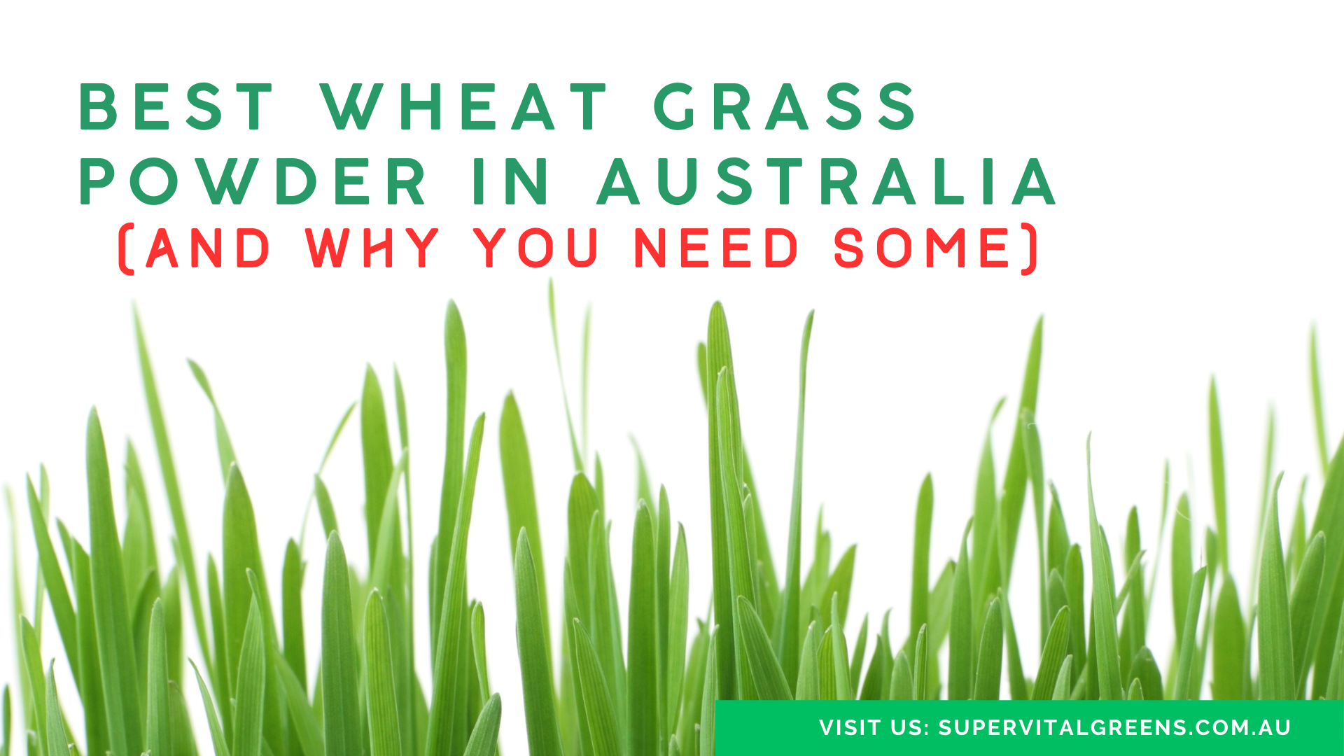 Best Wheatgrass in Australia